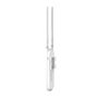 Point d'Accès TP-Link EAP113-Outdoor Blanc