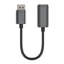 Adaptateur DisplayPort vers HDMI Belkin AVC011BTSGY-BL Noir 22 cm