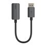 Adaptateur DisplayPort vers HDMI Belkin AVC011BTSGY-BL Noir 22 cm