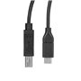 Câble USB Startech USB2CB3M             Noir