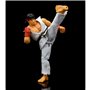 Personnage articulé Jada Street Fighters - RYU 15 cm
