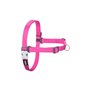 Harnais pour Chien Red Dingo 30-42 cm Fuchsia XS