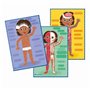 Montessori - Clementoni - Le Corps Humain - Jeu éducatif pour apprendr