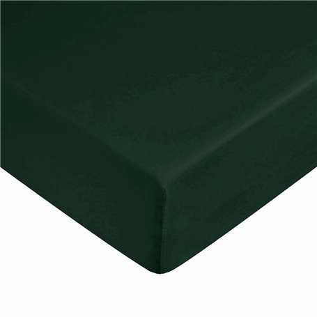 Drap housse Harry Potter Vert 70x140 cm