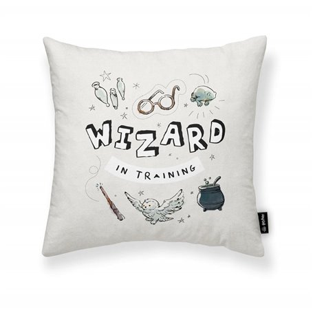 Housse de coussin Harry Potter Wizard Gris clair 45 x 45 cm