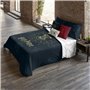 Housse de Couette Harry Potter Dormiens Draco 180 x 220 cm Lit 1 perso