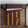 Housse de Couette Harry Potter Gryffindor 260 x 240 cm Lit king size