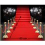 Tapis Rouge 450 x 60 cm