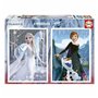 Puzzle Educa Frozen II (2 x 500 pcs)