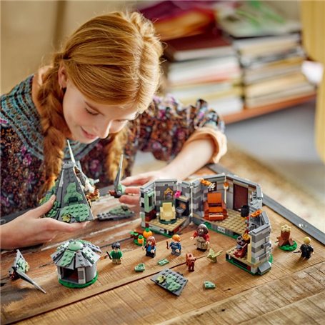 LEGO Harry Potter La cabane de Hagrid : Une visite inattendue (76428)