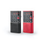 RADIO DE POCHE rechargeable FM, lecteur de carte micro SD RMS 3W, prise casque R