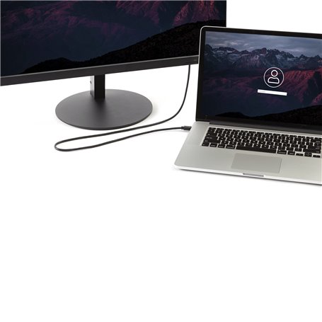 StarTech.com Câble Mini DisplayPort vers DisplayPort 1.2 de 2m - Câble adaptateur Mini DisplayPort vers DisplayPort 4K x 2K UHD 