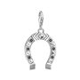 Pendentif Homme Thomas Sabo 1560-643-11 2 cm