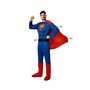 Déguisement pour Adultes Héros de Bande dessinée