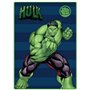 Couverture The Avengers Hulk 100 x 140 cm Bleu Vert Polyester