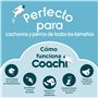 Sifflet Coachi