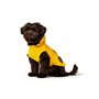 Manteau pour Chien Hunter Milford Jaune 25 cm
