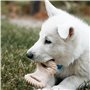 Jouet pour chien Benebone animaux
