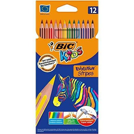 Crayons de couleur Bic 9505222 Multicouleur