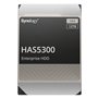 Disque dur Synology HAS5300 3