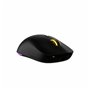 Souris Forgeon Darrowspike Noir