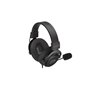 Casques avec Microphone Endorfy EY1A003 Noir