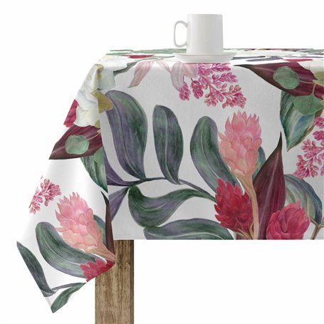 Nappe antitache Belum 0318-105 100 x 200 cm