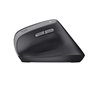 Souris Trust 25145 Noir