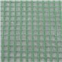vidaXL Couverture de remplacement de serre (0,5 m²) 50x100x190 cm Vert