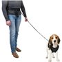 Pets Collection Laisse pour chiens avec bande de hanche L Noir