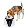FLAMINGO Distributeur d'eau automatique pour animaux Adriana 2 L Noir