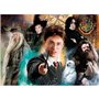 Puzzle - Clementoni - Harry Potter - 500 pieces - A partir de 12 ans