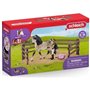 schleich HORSE CLUB Kit de Soin pour Chevaux Andalous
