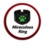 Déguisement pour Enfants Miraculous: Tales of Ladybug & Cat Noir Transformation Set - Cat Noir 4 Pièces Noir Multicouleu