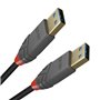 Lindy 36752 câble USB 2 m USB 3.2 Gen 1 (3.1 Gen 1) USB A Noir