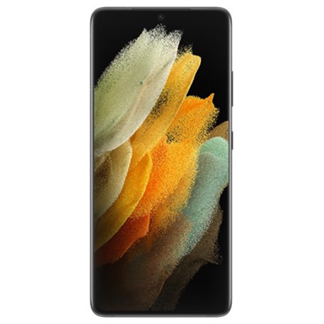 Samsung Galaxy S21 Ultra 5G (dual sim) 256 Go gris