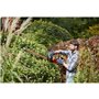 Taille-Haie BLACK+DECKER 60 cm 600 W - BEHTS501-QS - Embout Lame De Scie