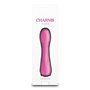 Mini Vibromasseur NS Novelties Charms Flora Bleu Rose