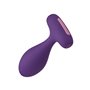 Plug Anal FemmeFun Plua Violet