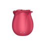 Aspirateur à clitoris Satisfyer Pro 2 Classic Rose