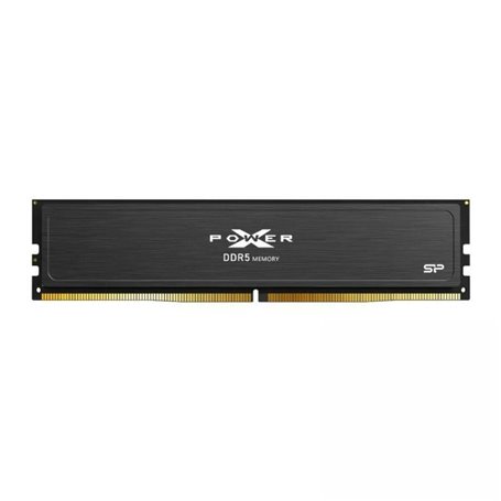 Mémoire RAM Silicon Power SP032GXLWU560FDJ