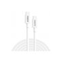 Urban Factory CAB02UF câble USB 2 m USB 3.2 Gen 1 (3.1 Gen 1) USB C Blanc