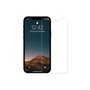 Woodcessories GLA030 écran et protection arrière de téléphones portables Protection d'écran transparent Apple 1 pièce(s)
