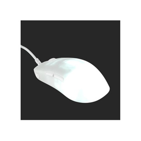 Endgame Gear OP1 RGB souris Jouer Droitier USB Type-A Optique 26000 DPI