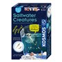 Selecta - Cosmos Saltwater Growing Creations KM616632