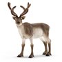 schleich WILD LIFE Renne