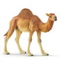 schleich WILD LIFE Dromadaire