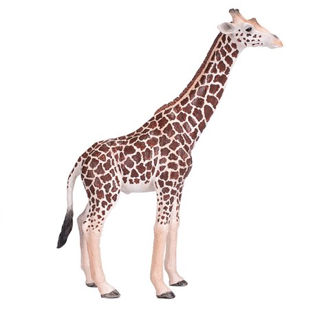 Mojo Wildlife Giraffe Male - 381008 381008