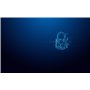 Kingston Technology IronKey 16 Go Vault Privacy 50 chiffrée AES-256, FIPS 197