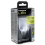 Integral LED ILNL-CL-EU veilleuse Veilleuse à brancher